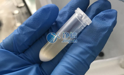 多樣品組織研磨機(jī)研磨酵母菌實驗步驟|沈陽市微生物研究所
