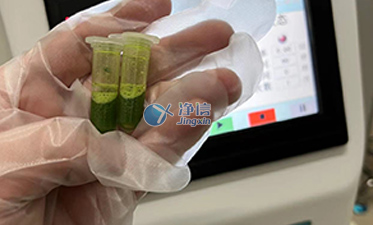 多樣品快速研磨機(jī)對柑橘葉脈研磨實(shí)驗(yàn)|上海凈信