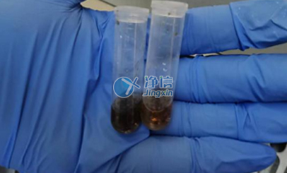 上海凈信高通量研磨儀能否助力蟲媒病毒研究實(shí)驗(yàn)？