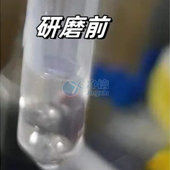 必看！全自動(dòng)浸入式液氮冷凍研磨儀高效研磨小鼠肝臟提取DNA實(shí)操指南