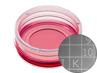 易必迪ibidi 細(xì)胞定位格子培養(yǎng)皿μ-Dish 35 mm high， glass bottom Grid-500