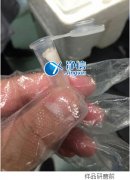 多樣品組織研磨儀研磨眼結(jié)膜提取rna實(shí)驗