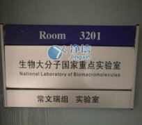 全自動組織研磨機(jī)破碎酵母細(xì)胞實(shí)驗-上海凈信
