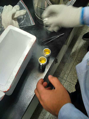 使用多樣品組織研磨儀在浙江工業(yè)大學(xué)進(jìn)行處理化工PE材料實驗=1