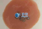 實(shí)驗(yàn)室常用研磨儀器是什么？組織研磨儀常用嗎？